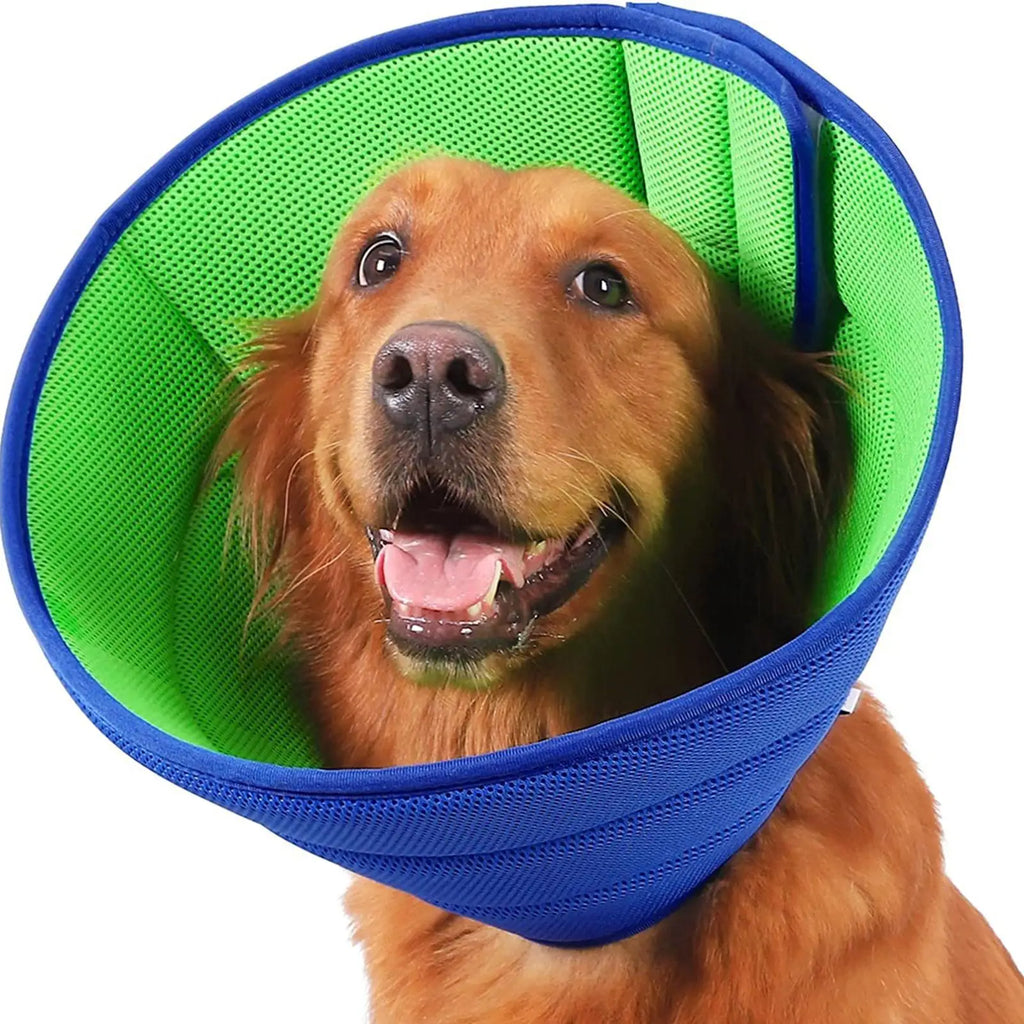 Collerette de protection pour chien – Collier élizabéthain après opération, anti-léchage