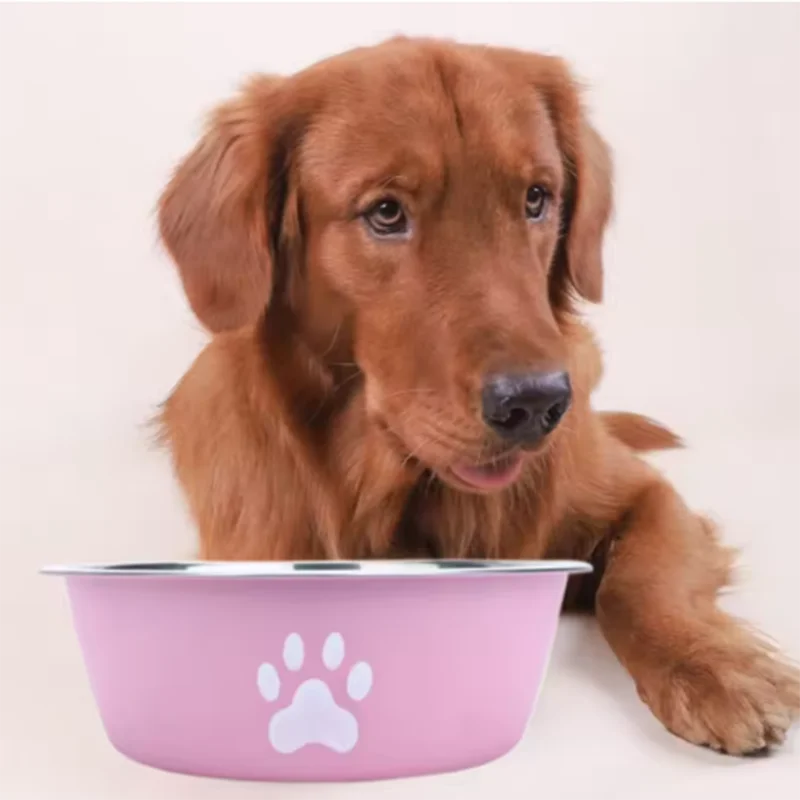 Gamelle en inox grande capacité pour chien et chat – Antidérapante, anti-rouille, double couche, adaptée aux chiots
