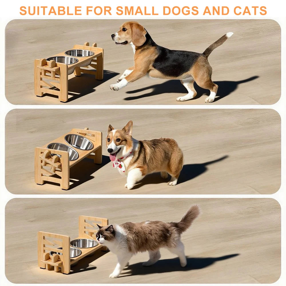 Gamelle surélevée réglable pour chiot et chat – Support incliné avec 2 bols en inox