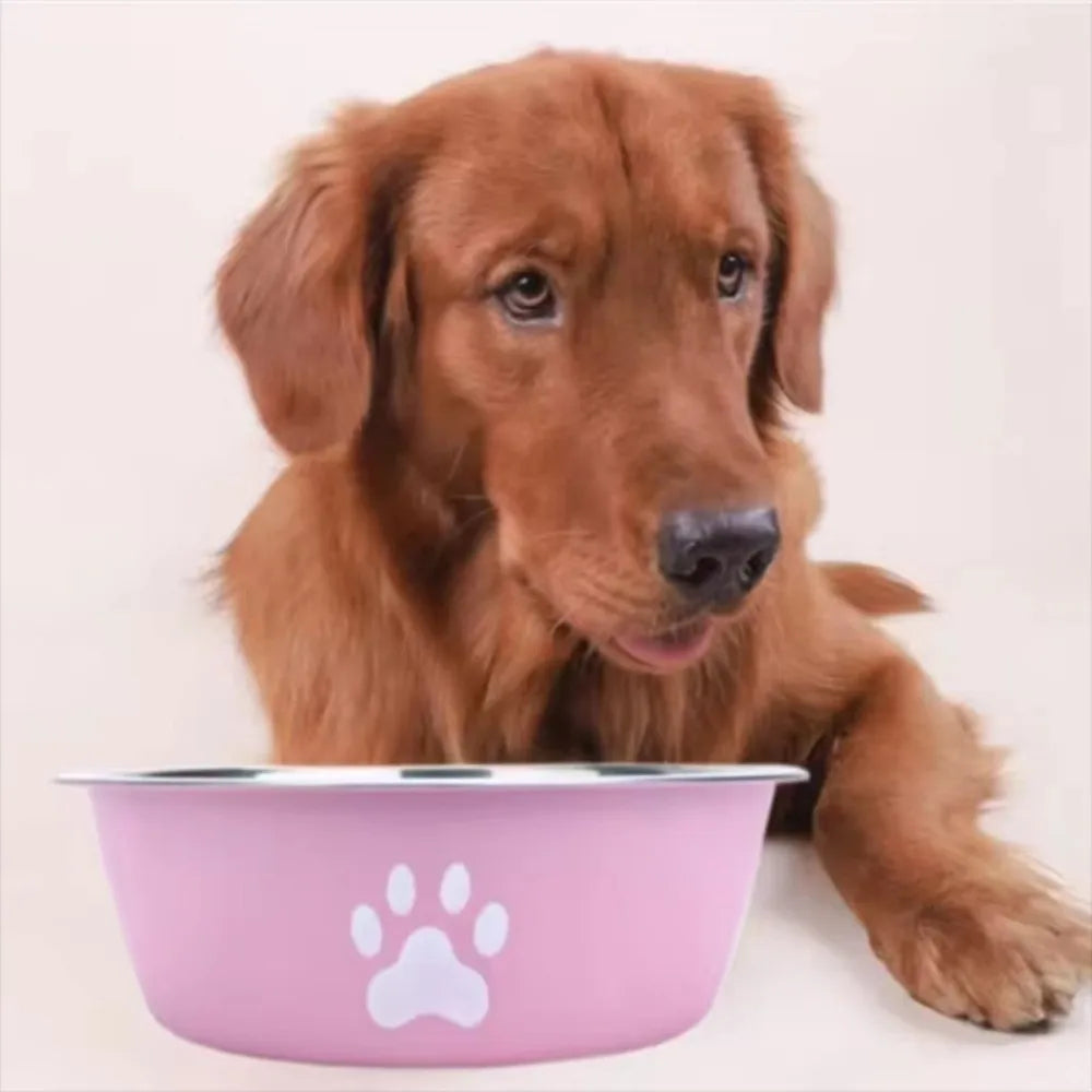 Gamelle Grande Capacité en Inox pour Chien et Chat – Antidérapante, Anti-rouille, Double Couche