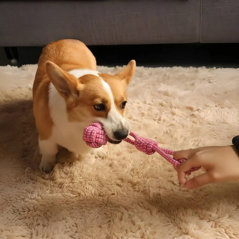 Jouet balle en corde de coton pour chien – Interactif, brosse à dents et à mâcher