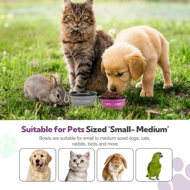 Gamelle pliable en silicone 2-en-1 pour chien et chat – Distributeur portable avec mousqueton pour voyage