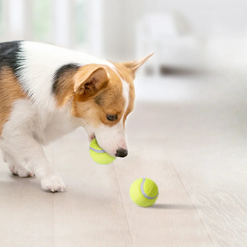 Balle de Tennis en Caoutchouc pour Chien – Jouet Interactif Haute Élasticité Sans Pile
