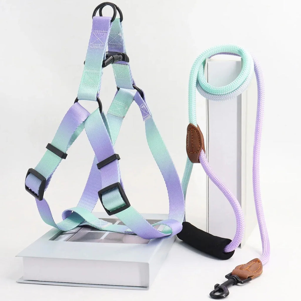 Harnais et Laisse pour Chien – Réglable, Confortable, Disponible en Plusieurs Tailles et Couleurs