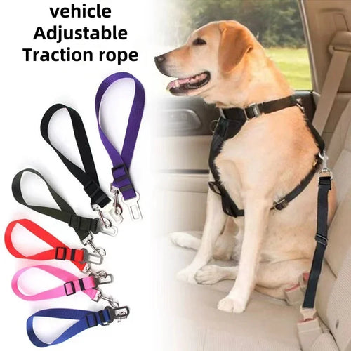 Ceinture de sécurité réglable pour chien en voiture – Harnais nylon résistant universel