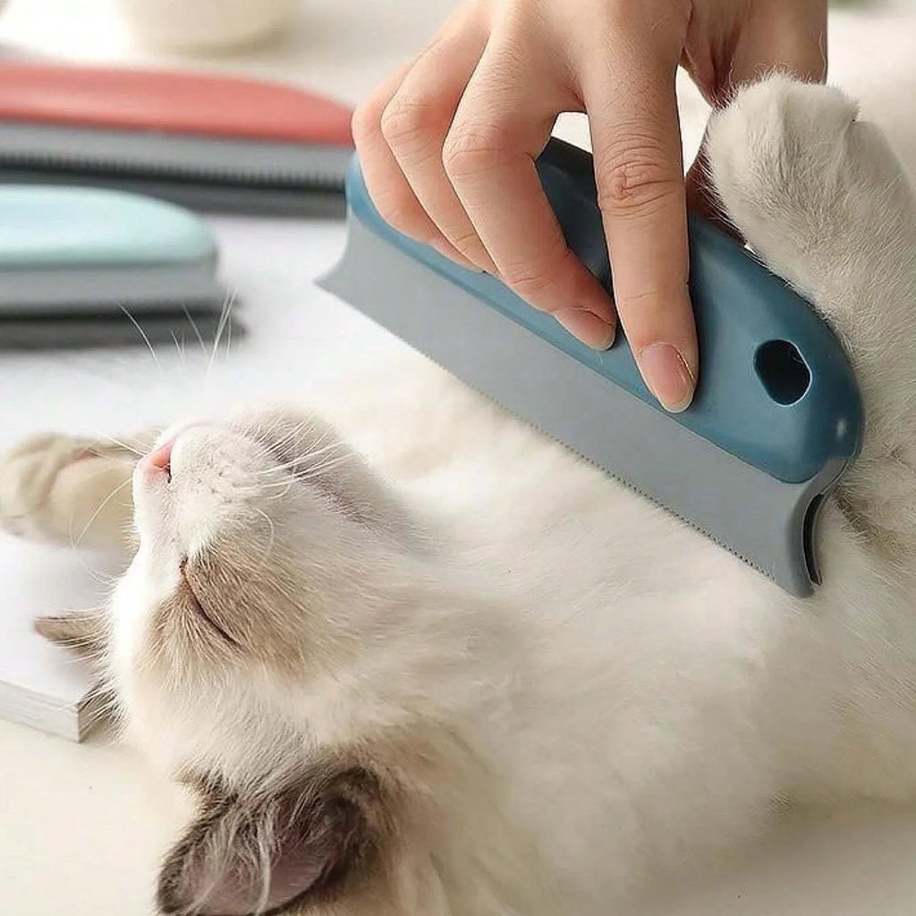 Brosse anti-poils efficace pour chat et chien – Rase doucement la laine et nettoie le pelage