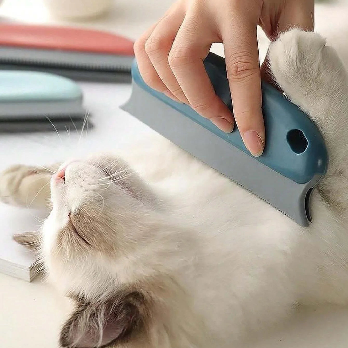 Brosse anti-poils efficace pour chat et chien – Rase doucement la laine et nettoie le pelage