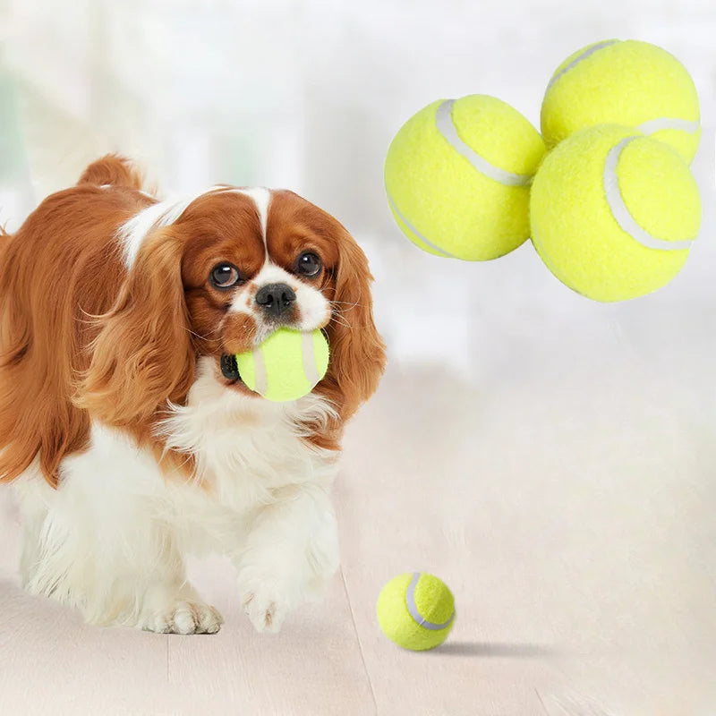 Balle de Tennis en Caoutchouc pour Chien – Jouet Interactif Haute Élasticité Sans Pile